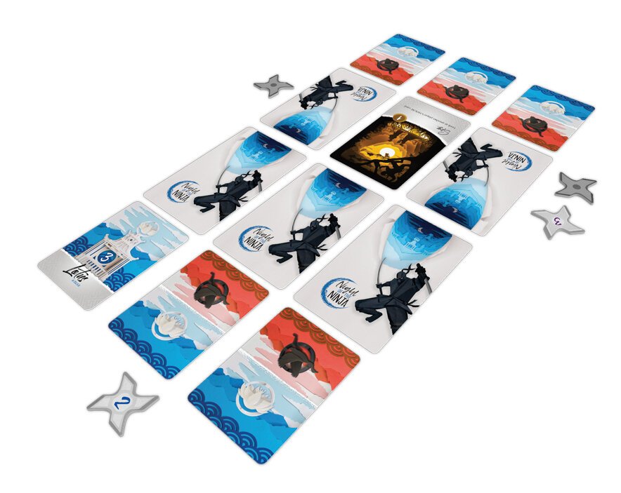 Night of the Ninja 2P variant setup